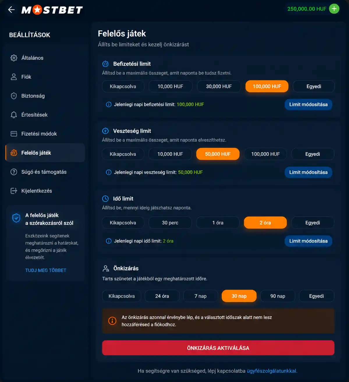 Felelősségteljes játék beállítási panel